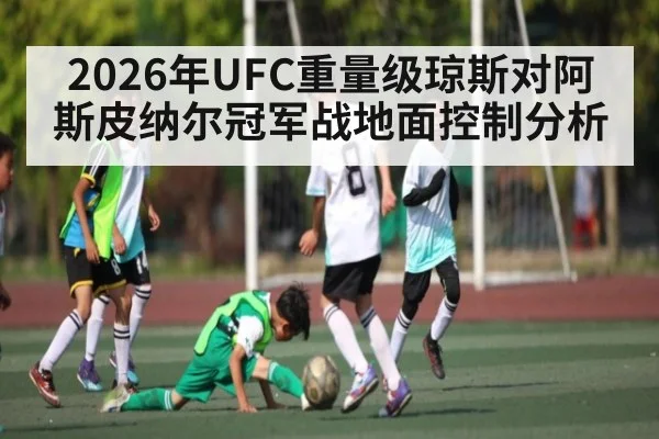 2026年UFC重量级琼斯对阿斯皮纳尔冠军战地面控制分析